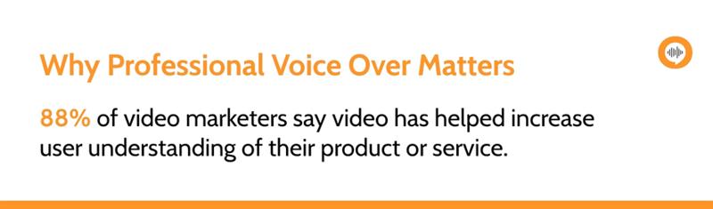 Hire Professional Voice Over Artist - The Voice Finder